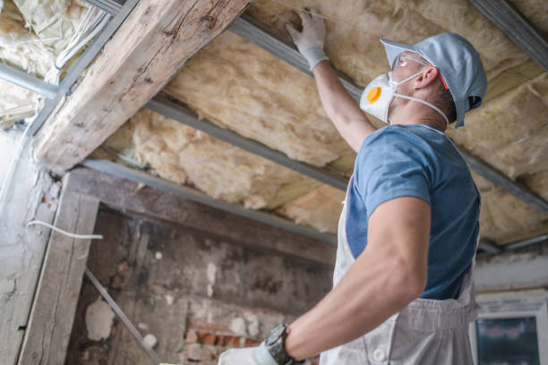 Best Insulation Installation Services in Lake Stickney, WA