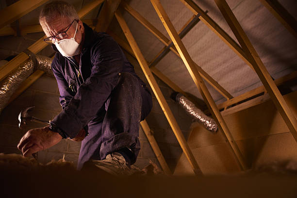 Best Insulation Materials and Products in Lake Stickney, WA